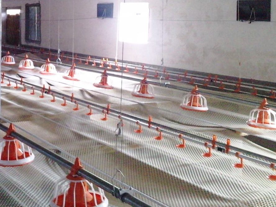Ventilation et gestion du climat du poulailler
